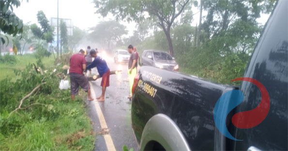 Permalink ke Ditengah Hujan Deras Anggota Polres Bangkalan Evakuasi Pohon Tumbang