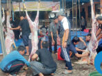 28052026 kurban 1